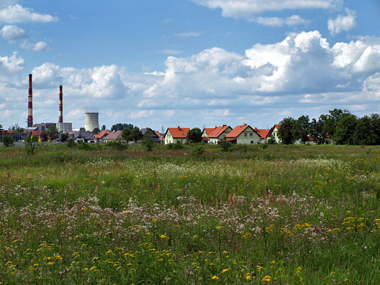 W obiektywie Mieszkańca: Krajobrazy, przyroda