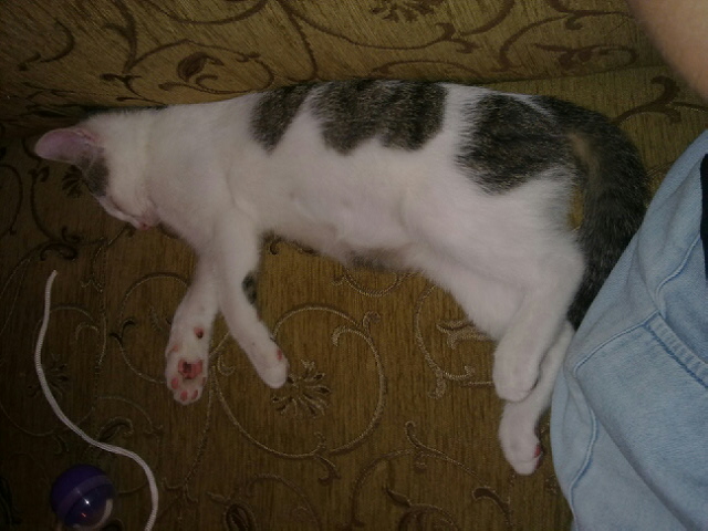 20131109411.jpg