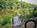 Siechnice: Chcesz jeździć bezpiecznie? Nie zapominaj o obowiązkowym wyposażeniu roweru - zdjęcie