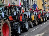 Siechnice: Protest rolników. Możliwa blokada DK94 w Siechnicach [aktualizacja 19.03] - zdjęcie