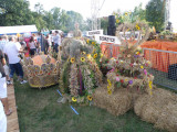 Fotorelacja z Dożynek 2012