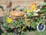 Fotorelacja z Dożynek 2012