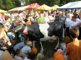 Fotorelacja z Dożynek 2012