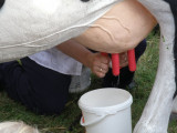 Fotorelacja z Dożynek 2012