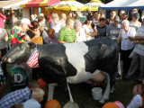 Fotorelacja z Dożynek 2012