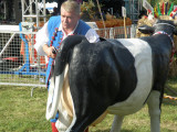 Fotorelacja z Dożynek 2012