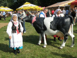 Fotorelacja z Dożynek 2012