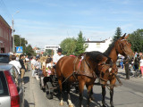 Fotorelacja z Dożynek 2012