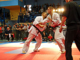 Mistrzostwa Karate Kyokushin