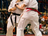 Mistrzostwa Karate Kyokushin