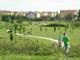 Piknik Rodzinny