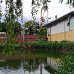 aktualnosci-Wracamy na ściankę! Zajęcia wspinaczkowe znów w Siechnicach