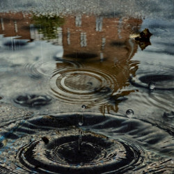 aktualnosci-Intensywne opady deszczu w powiecie wrocławskim. Ważne ostrzeżenie dla mieszkańców Siechnic