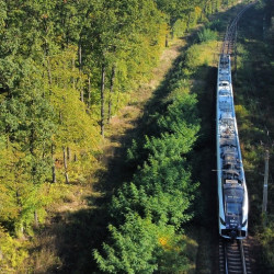 aktualnosci-Zastępcza Komunikacja Autobusowa na trasie Siechnice – Jelcz-Laskowice