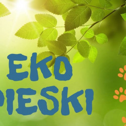 aktualnosci-Eko Pieski ratują naturę – spektakl dla dzieci w Siechnicach