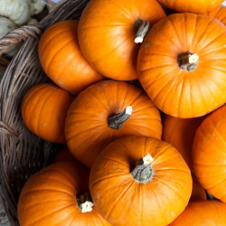 aktualnosci-Jesienne warsztaty kulinarne dla dzieci – odkryj smak dyni!