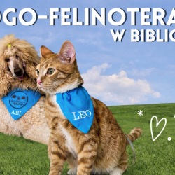 aktualnosci-Cztery łapy, wielka pomoc. Terapeutyczne spotkanie z psem i kotem