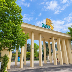 aktualnosci-Wrocławskie ZOO czeka! Bezpłatna wycieczka dla osób z niepełnosprawnościami