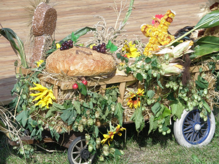 Fotorelacja z Dożynek 2012