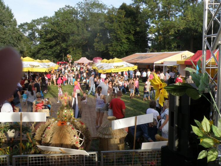 Fotorelacja z Dożynek 2012