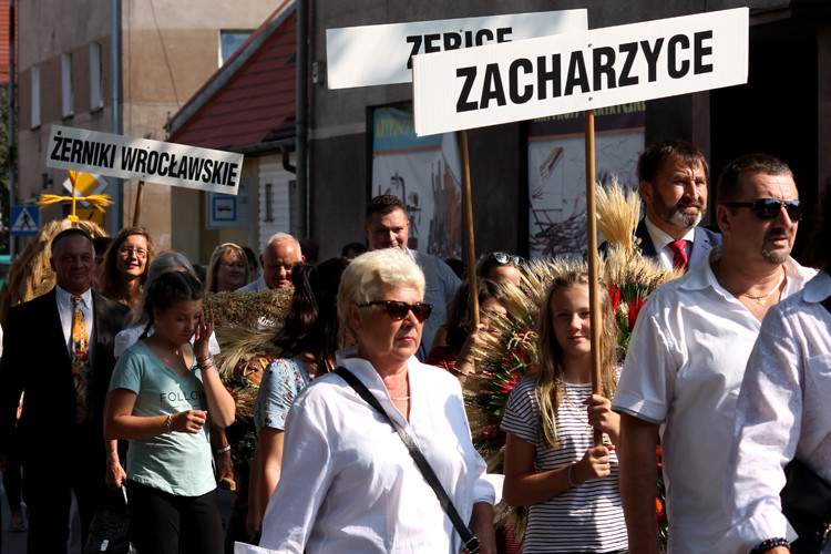 Dożynki Gminne 2018 [fotorelacja]