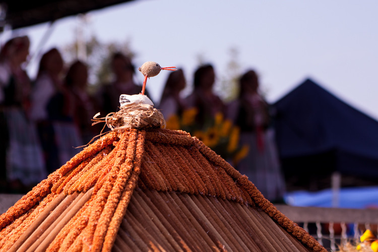 Dożynki Gminne 2018 [fotorelacja]