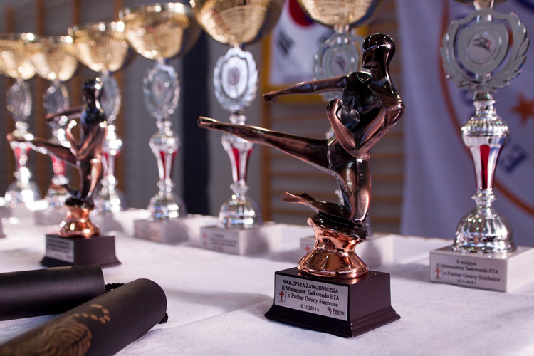 II Mistrzostwa Taekwondo w Siechnicach - relacja i zdjęcia