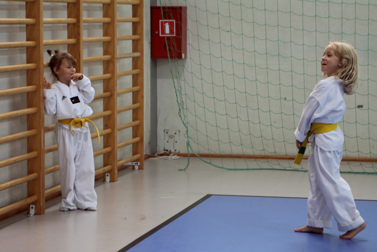 Mistrzostwa Taekwondo w Siechnicach [zdjęcia, video]