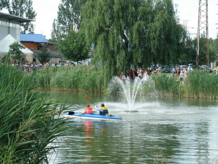Piknik Rodzinny