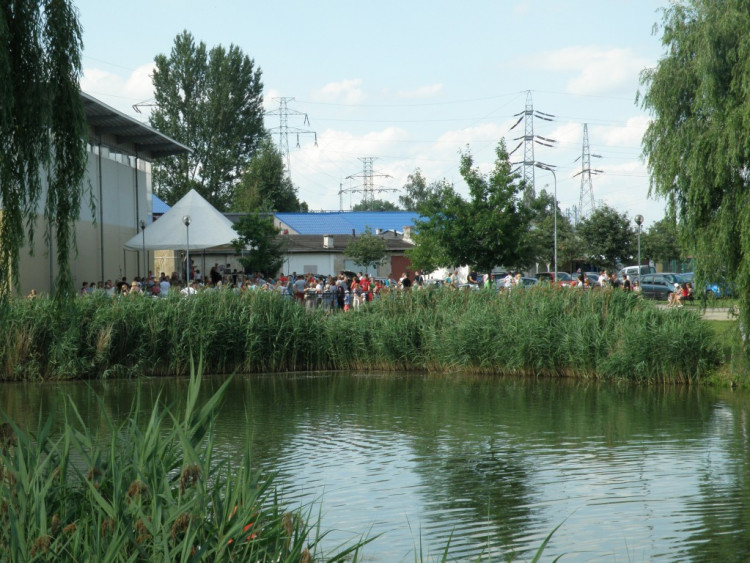 Piknik Rodzinny