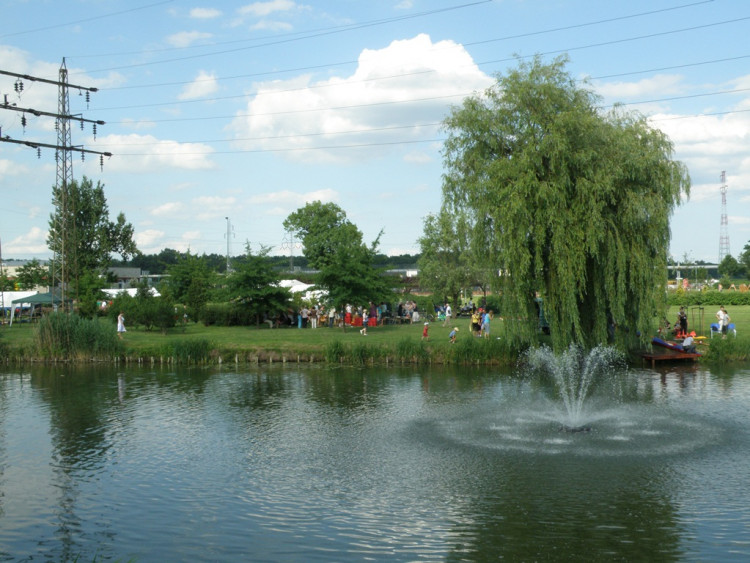 Piknik Rodzinny