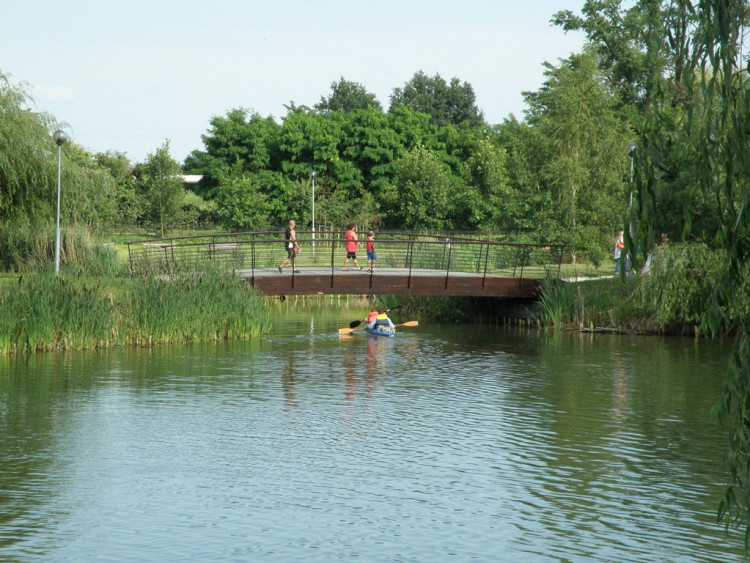 Piknik Rodzinny