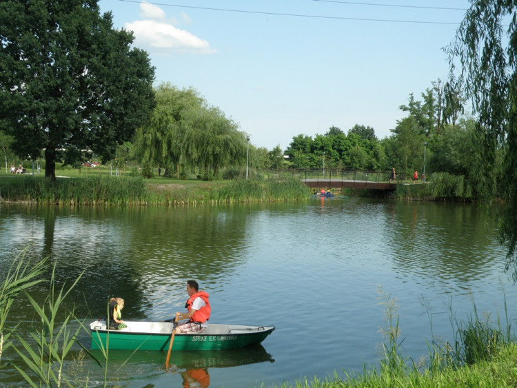 Piknik Rodzinny