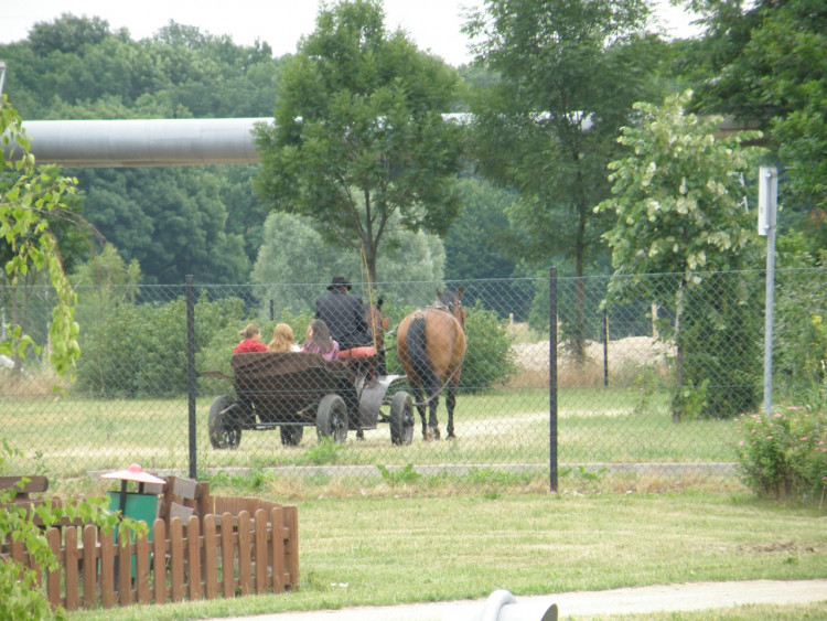 XIV Dni Siechnic 2011 – fotorelacja