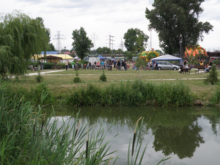 XIV Dni Siechnic 2011 – fotorelacja