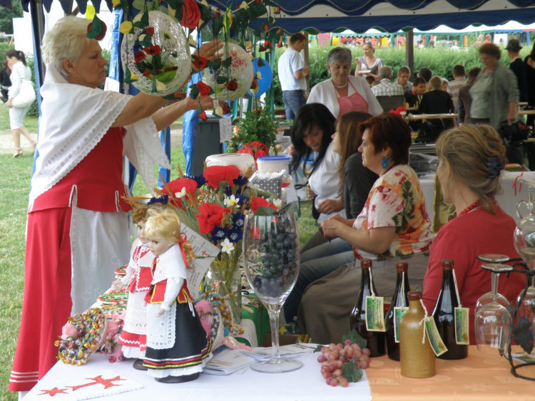 XIV Dni Siechnic 2011 – fotorelacja