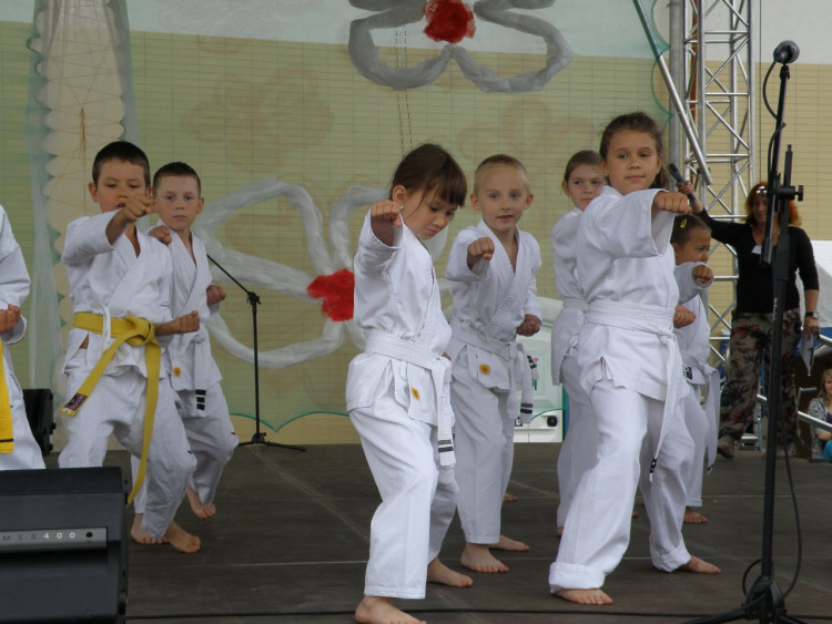 XIV Dni Siechnic 2011 – fotorelacja