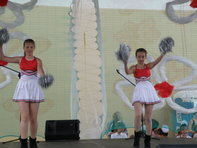 XIV Dni Siechnic 2011 – fotorelacja