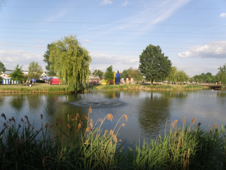 XV Dni Siechnic 2012 – fotorelacja