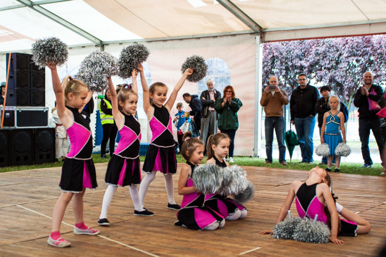 Zdjęcia z XVIII Dni Siechnic