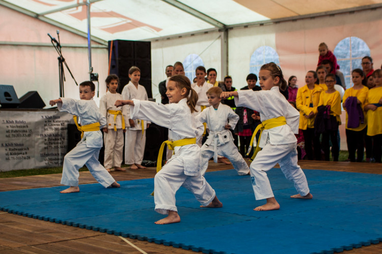 Zdjęcia z XVIII Dni Siechnic