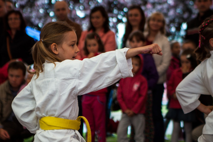 Zdjęcia z XVIII Dni Siechnic