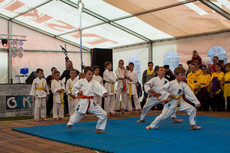 Zdjęcia z XVIII Dni Siechnic