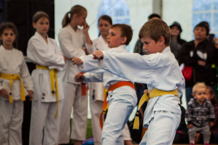 Zdjęcia z XVIII Dni Siechnic