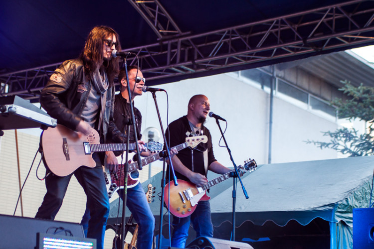 Zdjęcia z XVIII Dni Siechnic