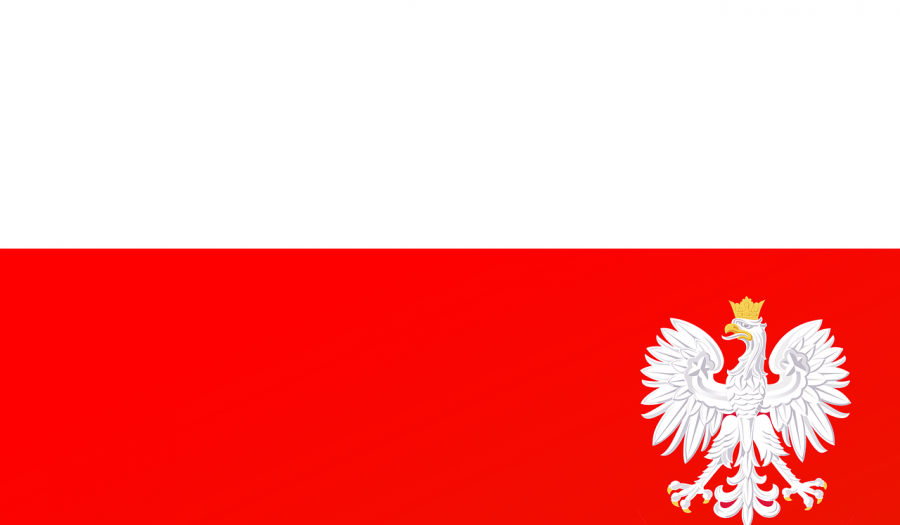 Siechnice: Wybory parlamentarne 2007