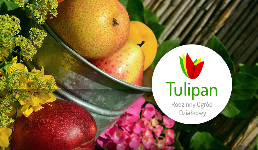 Siechnice: ROD Tulipan: Komunikat dotyczący opłat za działki