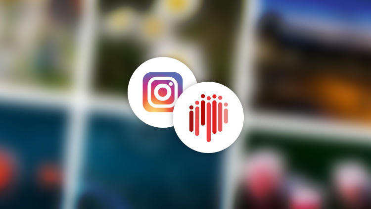 Siechnice: Portal Mieszkanców na Instagramie