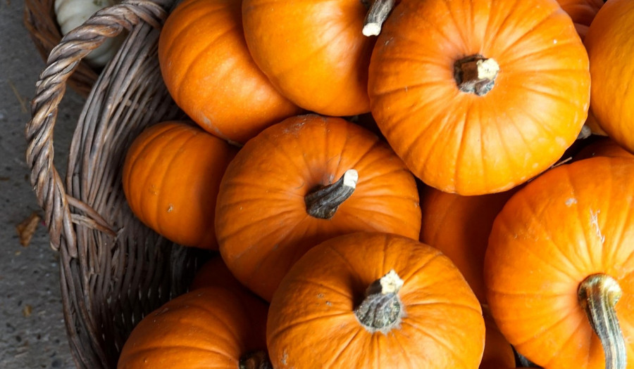 Siechnice: Jesienne warsztaty kulinarne dla dzieci – odkryj smak dyni!