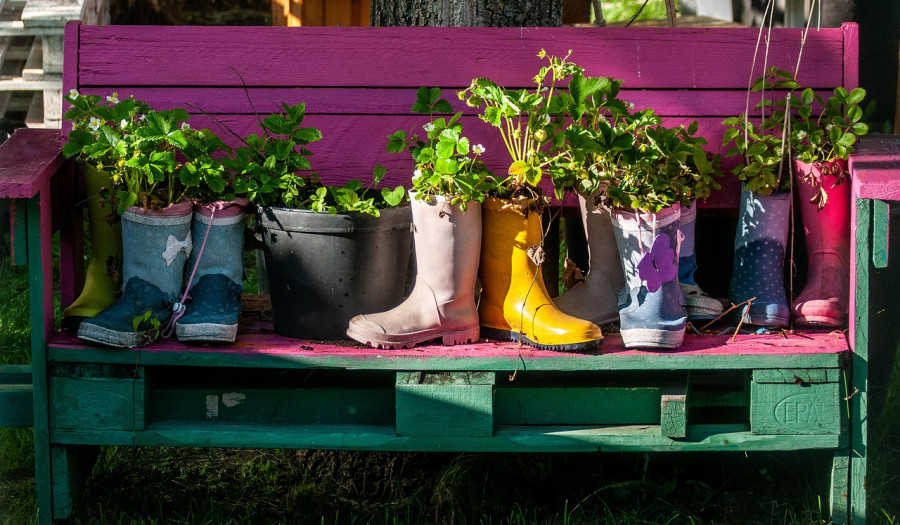 Siechnice: Tajemniczy ogród w Żernikach Wrocławskich – marcowe spotkanie z naturą